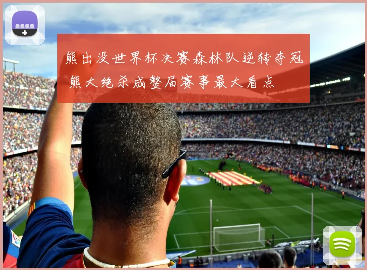 熊出没世界杯决赛森林队逆转夺冠 熊大绝杀成整届赛事最大看点