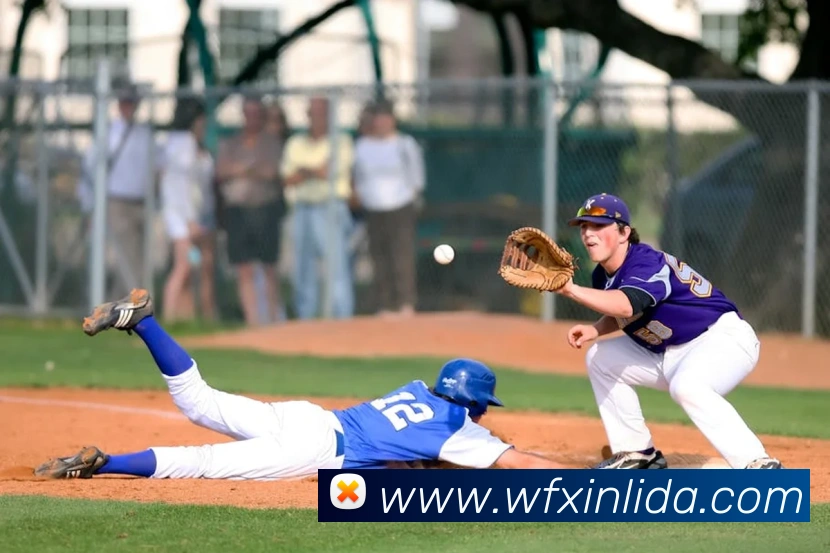 乐鱼网页版登录入口APP 高清赛事图